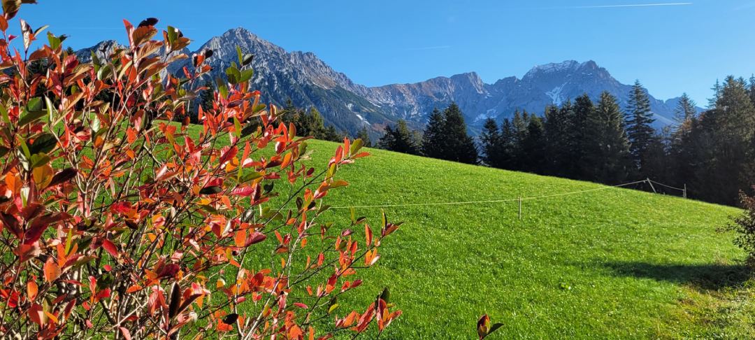 Krumpenhof am Achleitberg